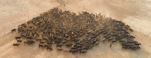 Farmdeck red-hill-farm-200x520