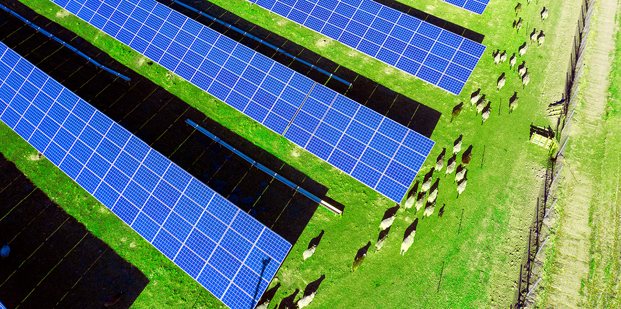 AdobeStock_466561305;